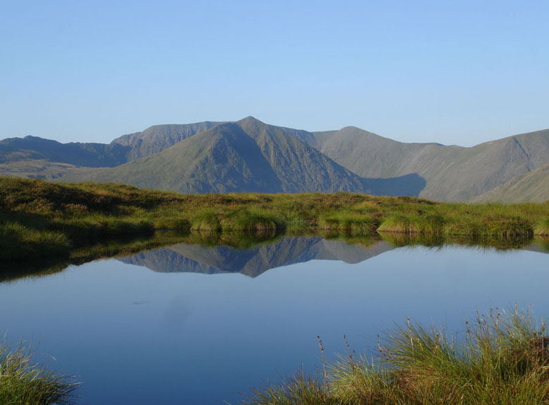 Catstycam